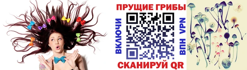 mega вход  Солнечногорск  Псилоцибиновые грибы Magic Shrooms 