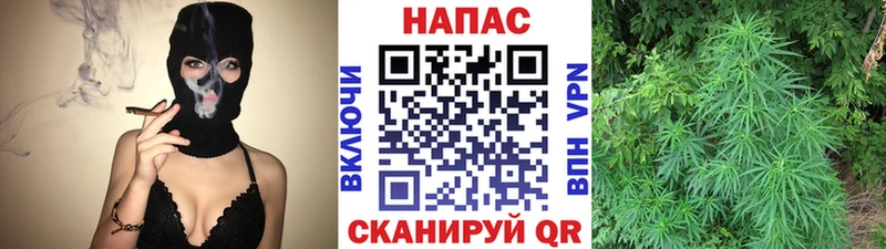 Бошки марихуана сатива  Солнечногорск 